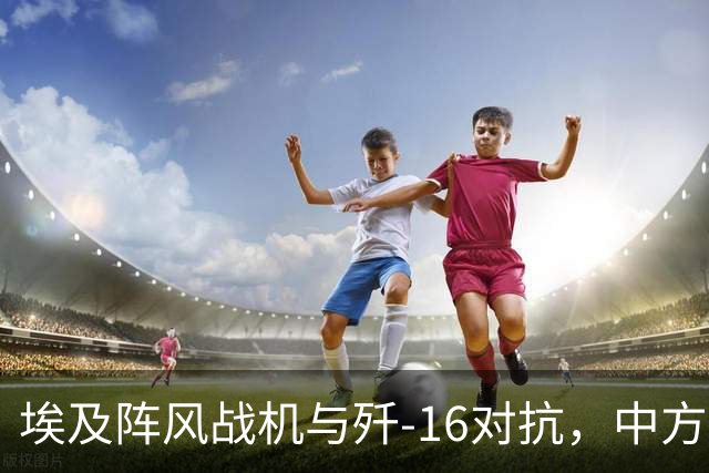 埃及阵风战机与歼-16对抗，中方飞行员：埃方飞行员让人印象深刻