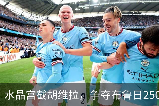 水晶宫截胡维拉，争夺布鲁日2500万铁卫奥多涅斯