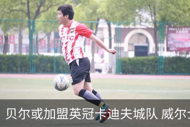 贝尔或加盟英冠卡迪夫城队 威尔士主帅:这有意义